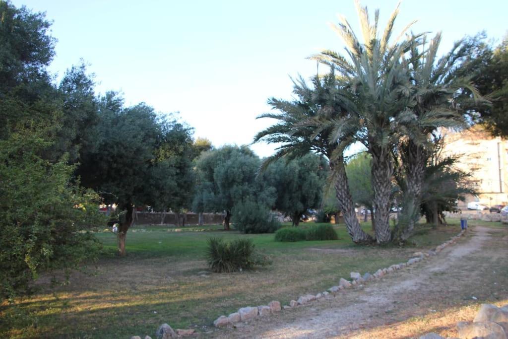 Tesoro Del Eden Leilighet Torrevieja Eksteriør bilde